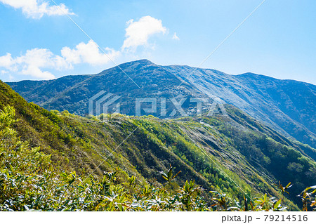 平標山・仙ノ倉山登山:松手山コースから平標山を望む 平標山・仙ノ倉山登山:松手山コースから平標山を望む 79214516
