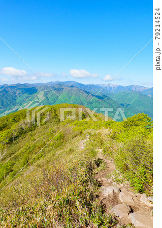 平標山・仙ノ倉山登山:松手山コースの風景(苗場方面) 平標山・仙ノ倉山登山:松手山コースの風景(苗場方面) 79214524