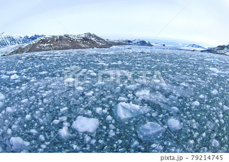 Drift floating Ice and Snowcapped Mountains, Arctic, Svalbard, Norway Drift floating Ice and Snowcapped Mountains, Arctic, Svalbard, Norway 79214745