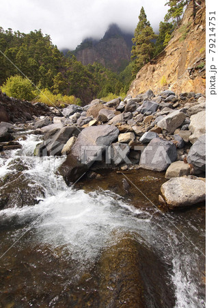 Taburiente River, Caldera de Taburiente National Park, Canary Islands, Spain Taburiente River, Caldera de Taburiente National Park, Canary Islands, Spain 79214751