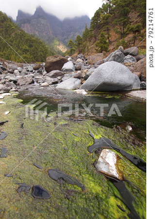 Taburiente River, Caldera de Taburiente National Park, Canary Islands, Spain Taburiente River, Caldera de Taburiente National Park, Canary Islands, Spain 79214761