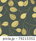 Vector illustration pickled capers - vintage linear style. Seamless pattern in retro botanical style. 79215352