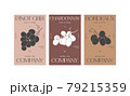 Vector set illustartion design labels for wine. Minimalistic and modern design with grape branch. 79215359