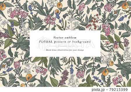 Hand drawn perfumery and cosmetics ingredients banner. Decorative background with vintage aromatic plants, fruits, spices, herbs for perfumery. Organic cosmetics design template. Aromatic plants flyer 79215399