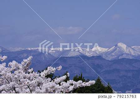 桜の風景 桜の風景 79215763