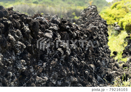 Pico Island Azores vineyard wine grapes protected by lava stone aerial view Pico Island Azores vineyard wine grapes protected by lava stone aerial view 79216103