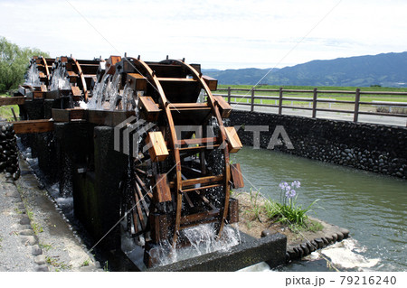 朝倉の揚水車群「菱野の三連水車」　6月の稼働はじめの景観 79216240