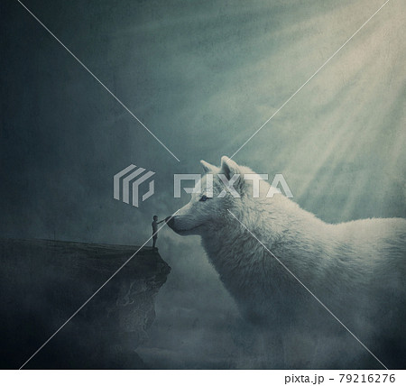 Surreal dreamland scene with a person on the edge of a cliff try to get in touch with a huge white wolf. Fantasy adventure, wanderer taming a giant mythical creature. Magical tale landscape 79216276
