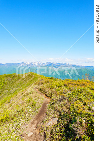 平標山・仙ノ倉山登山:松手山コースの風景(苗場方面) 平標山・仙ノ倉山登山:松手山コースの風景(苗場方面) 79216913