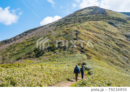 平標山・仙ノ倉山登山：松手山～平標山の尾根歩き 79216950