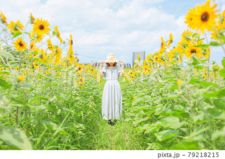 ひまわり畑に佇むワンピースの女の子の写真素材 [79218215] - PIXTA