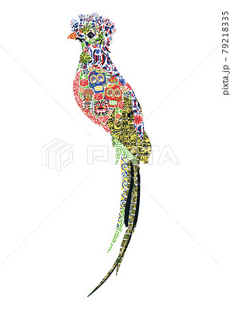 Quetzal in ornament Quetzal in ornament 79218335