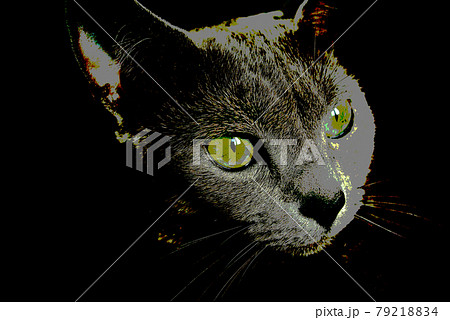 猫　ロシアンブルー 79218834