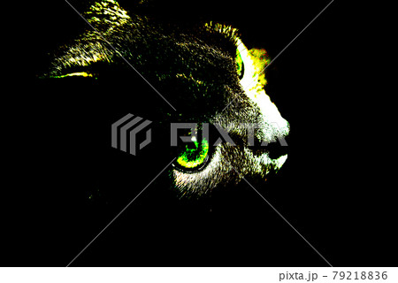 猫　ロシアンブルー 79218836