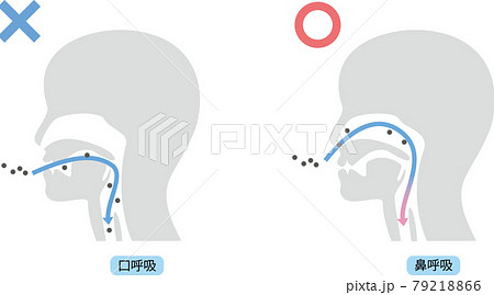 鼻呼吸と口呼吸 79218866
