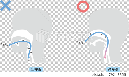 鼻呼吸と口呼吸 79218866