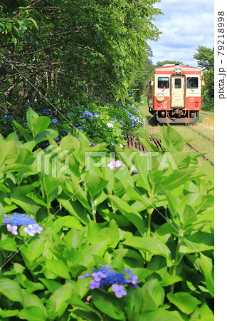 いすみ鉄道「6月下旬の国吉駅から見た風景」 79218998