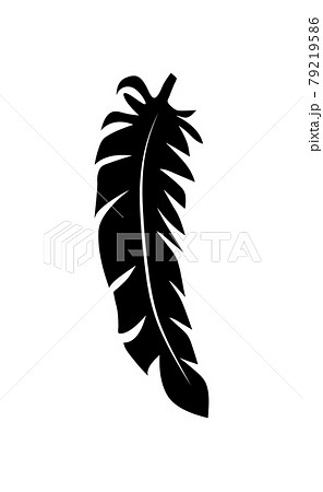 illustration of an old feather. Feather silhouette. Retro image of letter with feather icon. 79219586
