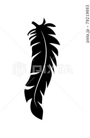 illustration of an old feather. Feather silhouette. Retro image of letter with feather icon. 79219663
