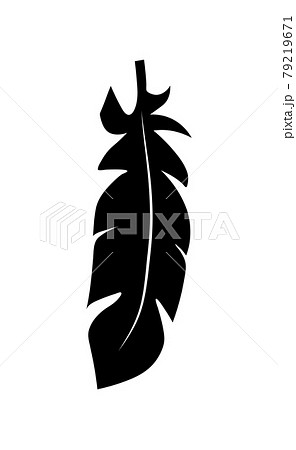 illustration of an old feather. Feather silhouette. Retro image of letter with feather icon. 79219671