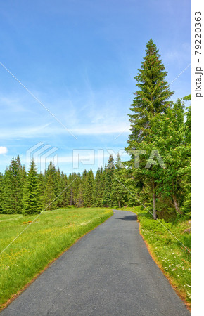 Scenic road in Jizera Mountains near Jakuszyce, Poland. Scenic road in Jizera Mountains near Jakuszyce, Poland. 79220363