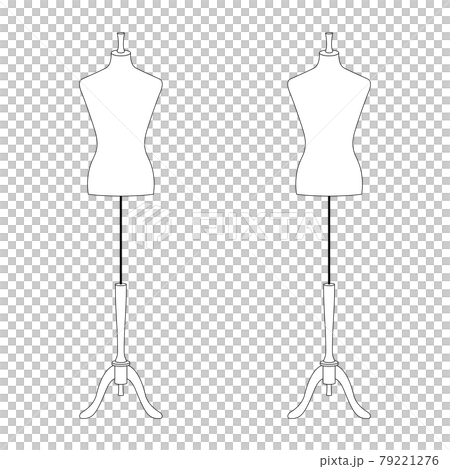 兩個軀幹的插圖（白色背景、矢量、切口） 79221276