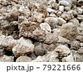 Pig manure compost. 79221666
