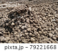 Pig manure compost. 79221668