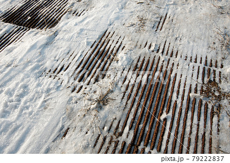 Snow Snow 79222837