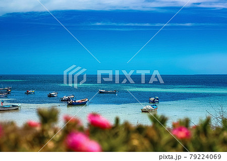 A beautiful view of the Mediterranean coast with birch water, a beach with white sand and a green palm tree. 79224069