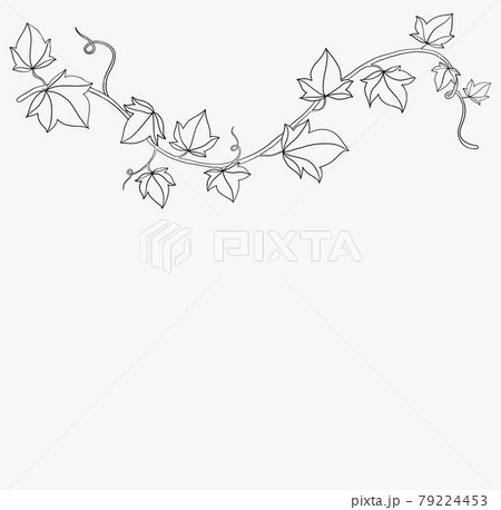 Simplicity Ivy Freehand Drawing Flat Design のイラスト素材