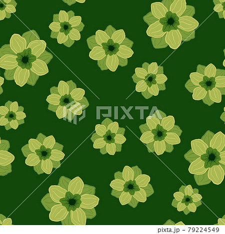 Hand drawn nature seamless pattern with doodle anemone buds random print. Flower artwork in green colors. Hand drawn nature seamless pattern with doodle anemone buds random print. Flower artwork in green colors. 79224549