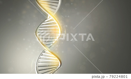 Golden glow of DNA double helix model, 3D render. 79224801