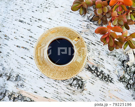 Cup of coffee and red Money Tree Crassula ovata on birch bark wooden background, summer flatlay. Top view. 79225196