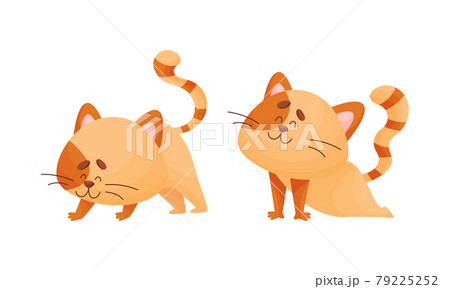 Cartoon Cat With Striped Tail Standing In Yoga のイラスト素材
