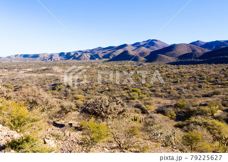 Bolivian mountains landscape,Bolivia 79225627