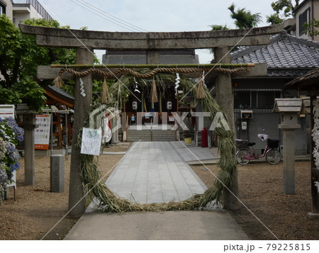 夏越の大祓いの茅の輪くぐり・堤根神社 夏越の大祓いの茅の輪くぐり・堤根神社 79225815