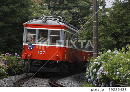 箱根登山鉄道モハ1形（引退HM） 79226423