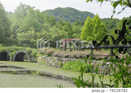 軽井沢 レマン湖 軽井沢 レマン湖 79226782