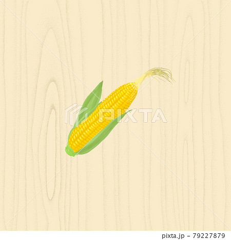 点描の木目の背景に甘そうなとうもろこしのベクターイラスト. 79227879