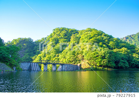 碓氷湖 坂本ダム 初夏の周辺景色 碓氷湖 坂本ダム 初夏の周辺景色 79227915