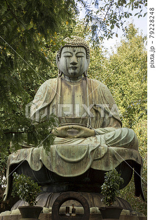 釈迦如来像・吉祥寺・文京区 釈迦如来像・吉祥寺・文京区 79228248