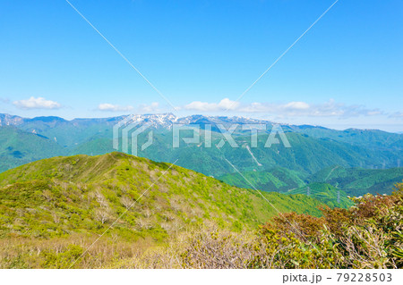 平標山・仙ノ倉山登山：松手山コースから苗場山を望む 79228503