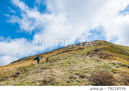 平標山・仙ノ倉山登山：松手山～平標山の尾根歩き 79228556