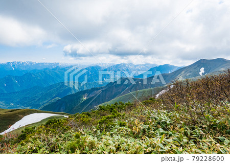 平標山・仙ノ倉山登山:松手山~平標山の尾根から谷川連峰の山々を望む 平標山・仙ノ倉山登山:松手山~平標山の尾根から谷川連峰の山々を望む 79228600