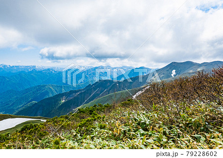 平標山・仙ノ倉山登山:松手山~平標山の尾根から谷川連峰の山々を望む 平標山・仙ノ倉山登山:松手山~平標山の尾根から谷川連峰の山々を望む 79228602
