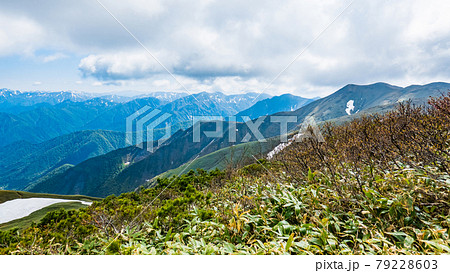 平標山・仙ノ倉山登山:松手山~平標山の尾根から谷川連峰の山々を望む 平標山・仙ノ倉山登山:松手山~平標山の尾根から谷川連峰の山々を望む 79228603
