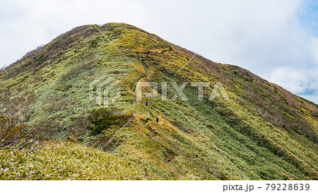 平標山・仙ノ倉山登山:松手山~平標山山頂手前の風景 平標山・仙ノ倉山登山:松手山~平標山山頂手前の風景 79228639