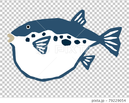 河豚　レトロなベクターイラスト 79229054