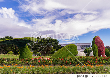 Sunny exterior view of the area of Flora Exposition Sunny exterior view of the area of Flora Exposition 79229748